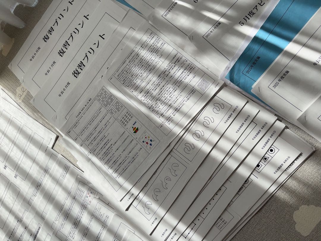 桐杏学園小学校受験プリント総合まとめ&教育図書21受験絵画＆こぐまなでしこ教室