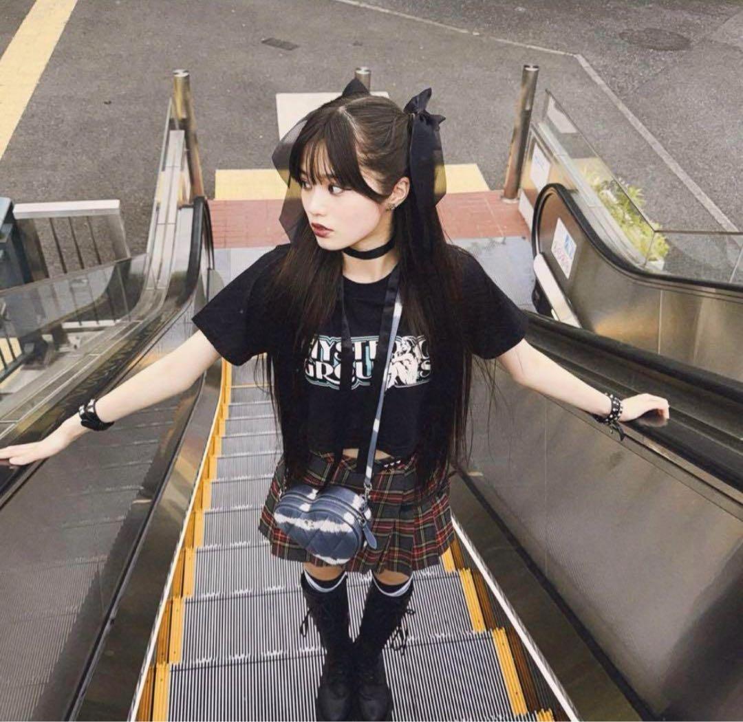 新品 タグ付き ヒステリックグラマー チビT クロップド ヒスガール