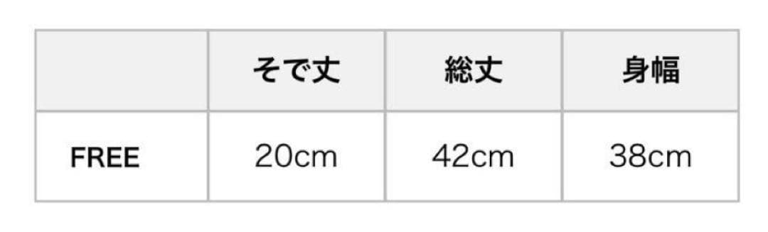 新品 タグ付き ヒステリックグラマー チビT クロップド ヒスガール