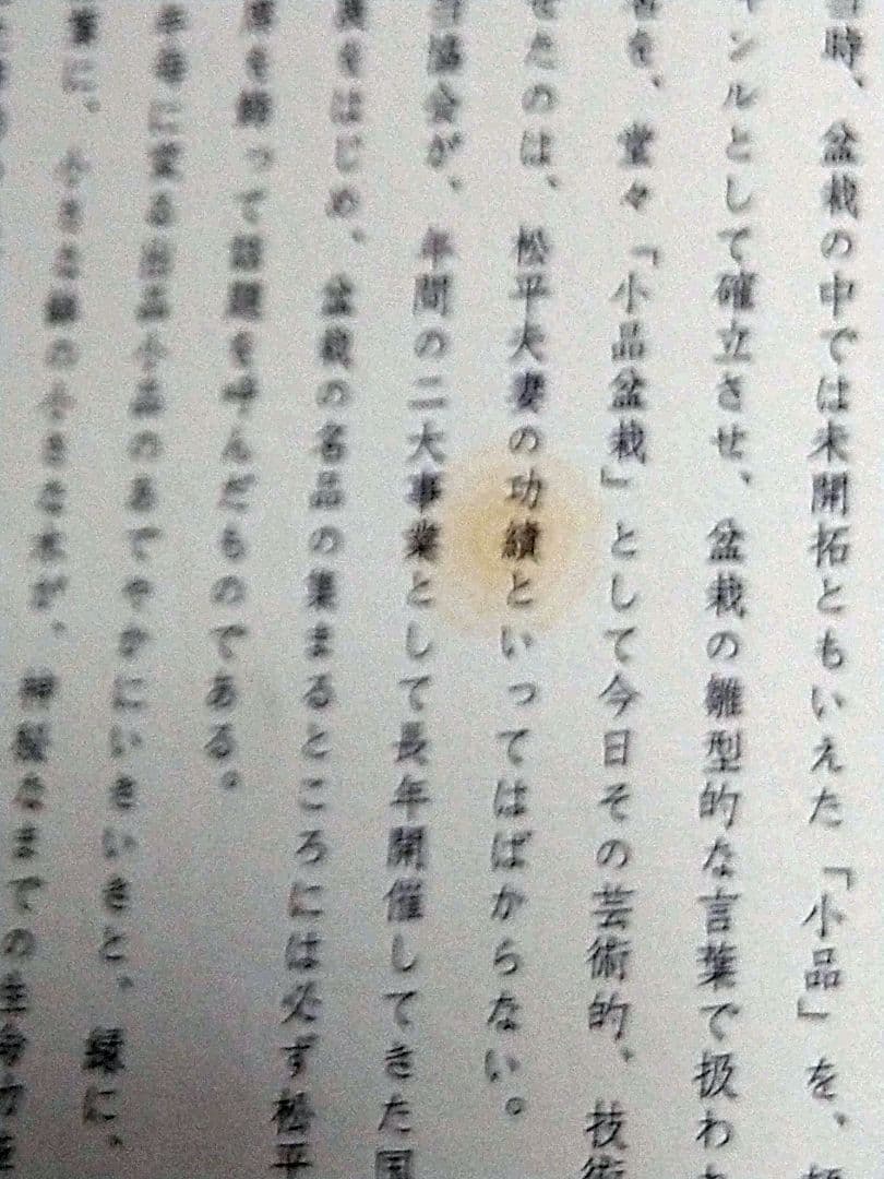 【限定版】松平家に生きる珠玉の名品　小品盆栽　日本盆栽協会創立十周年記念出版