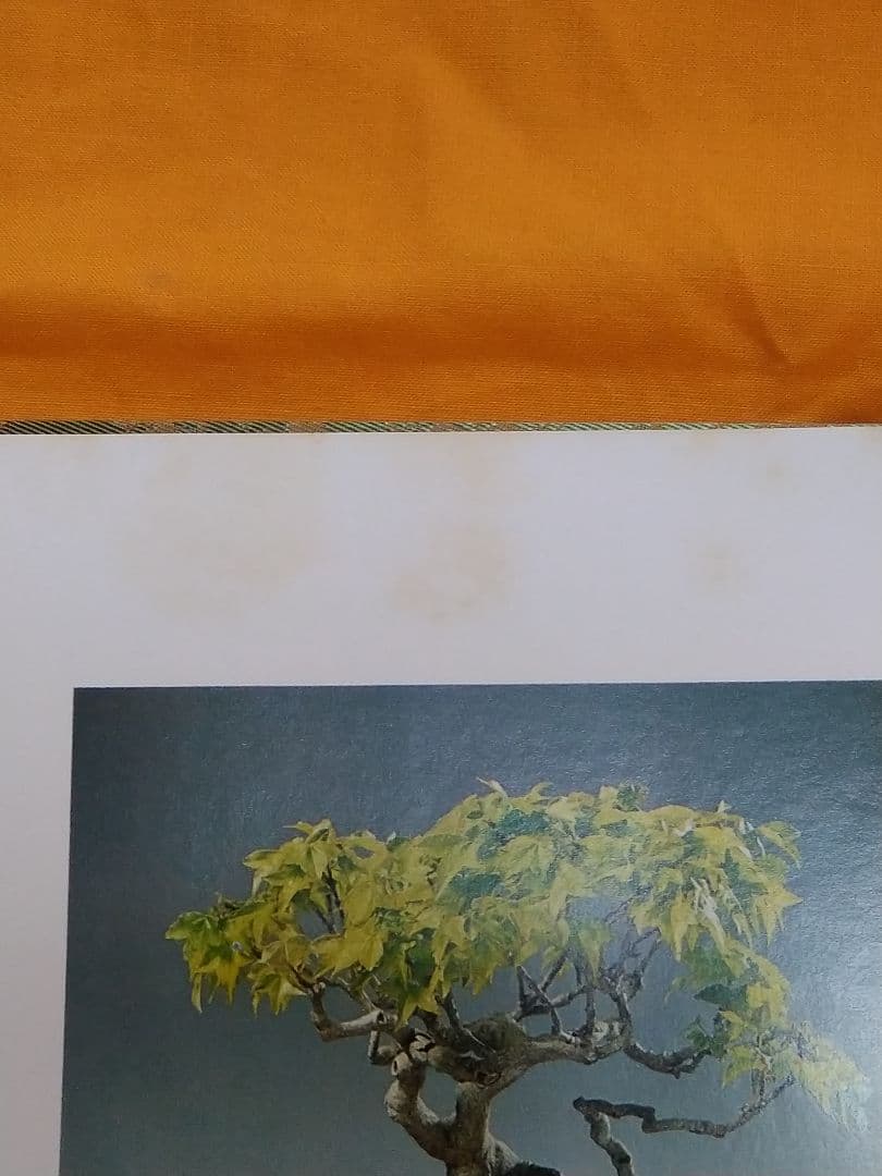 【限定版】松平家に生きる珠玉の名品　小品盆栽　日本盆栽協会創立十周年記念出版