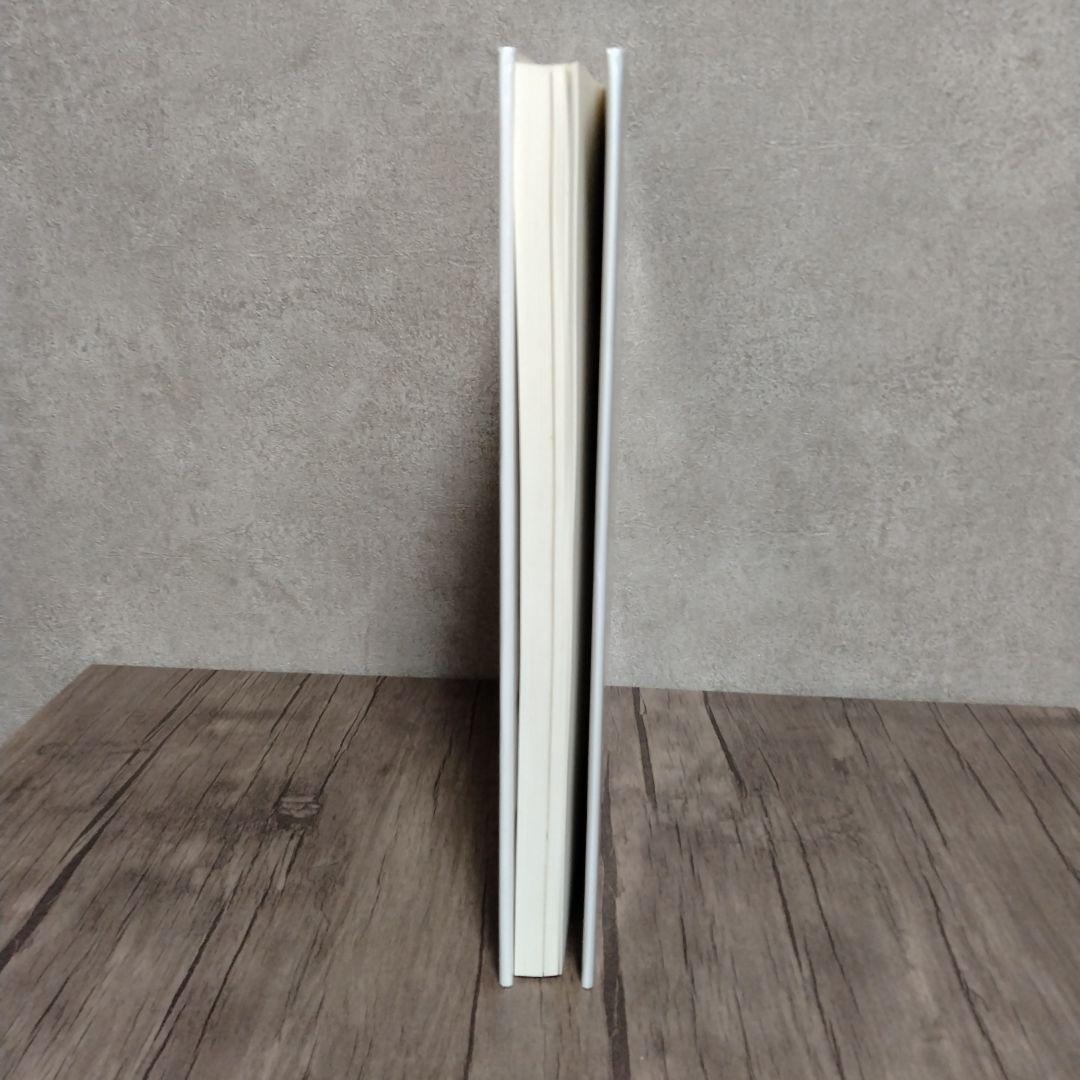 View from above Wolfgang Tillmans 洋書 英語版
