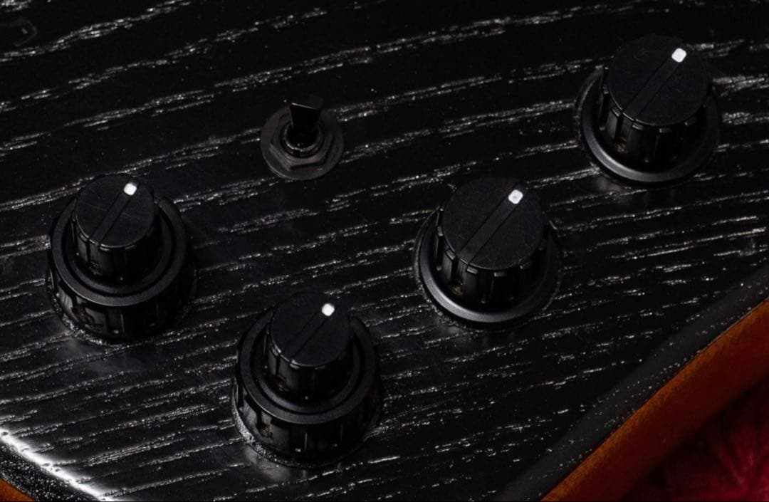 ベース Ibanez EHB1135MS