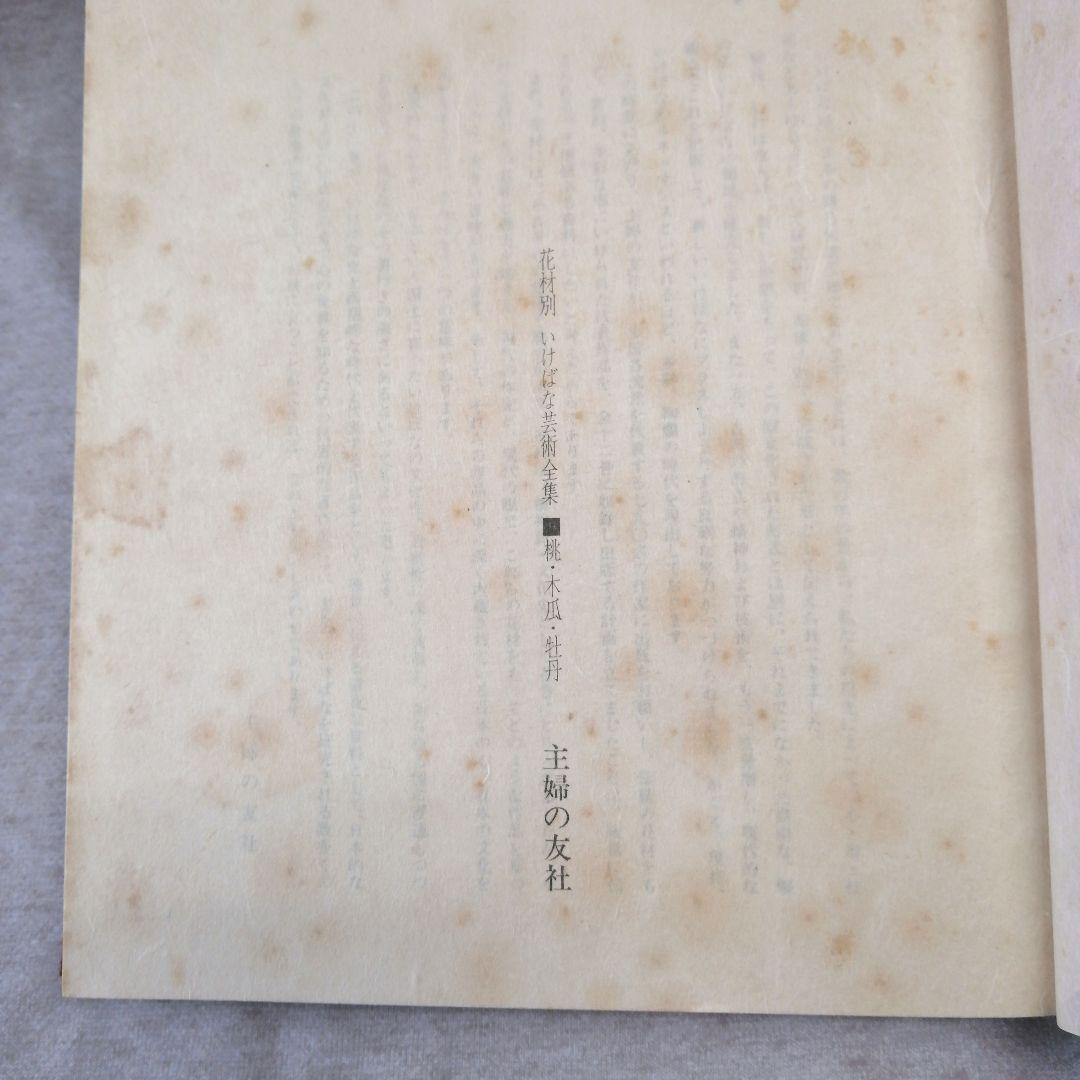 いけばな芸術　主婦の友社　全26巻　※送料無料　即購入可