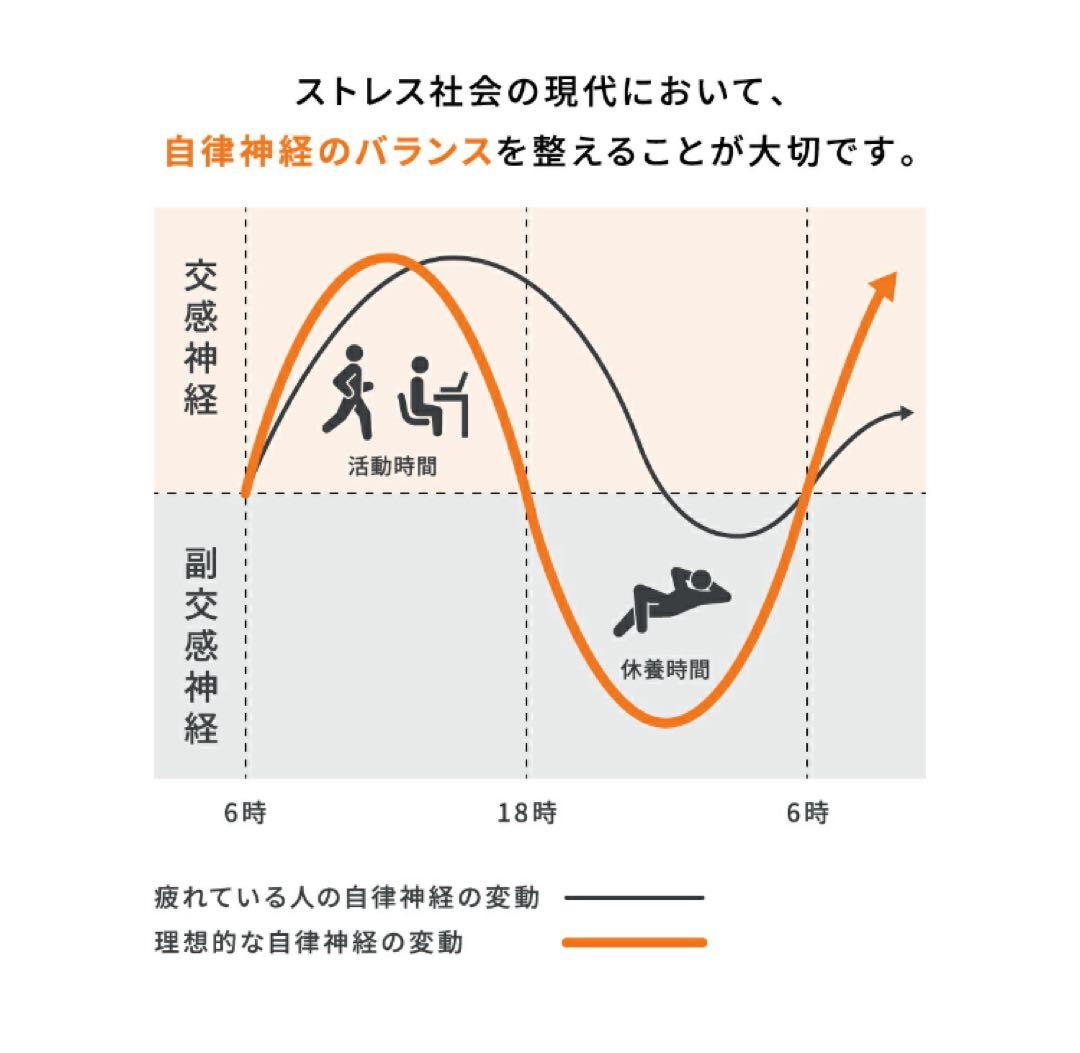 【試着のみ】【ノベルティリストバンド付き】VENEX 上下セット レディースXL