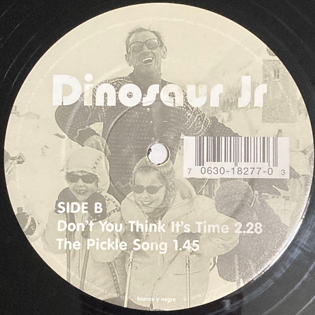 Dinosaur Jr/Take a Run at the Sun/12インチ
