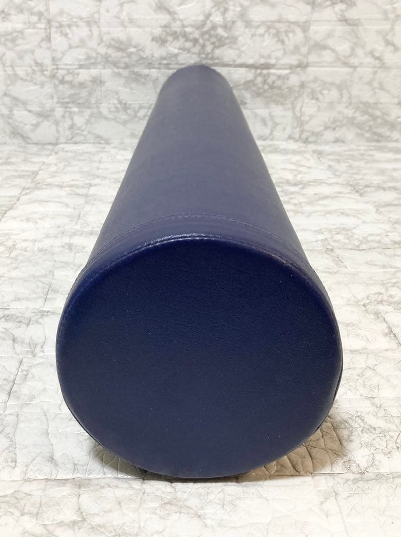 【美品】LPN社製 ストレッチポール (R) EXシリーズ 正規品