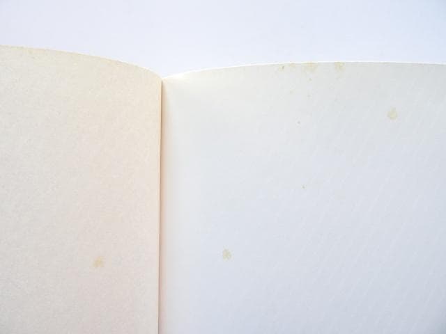 洋書◆薔薇の写真集 本 植物 バラの起源と歴史 伝承 用途 芸術 文学