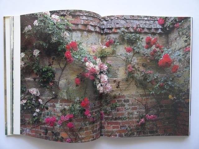 洋書◆薔薇の写真集 本 植物 バラの起源と歴史 伝承 用途 芸術 文学