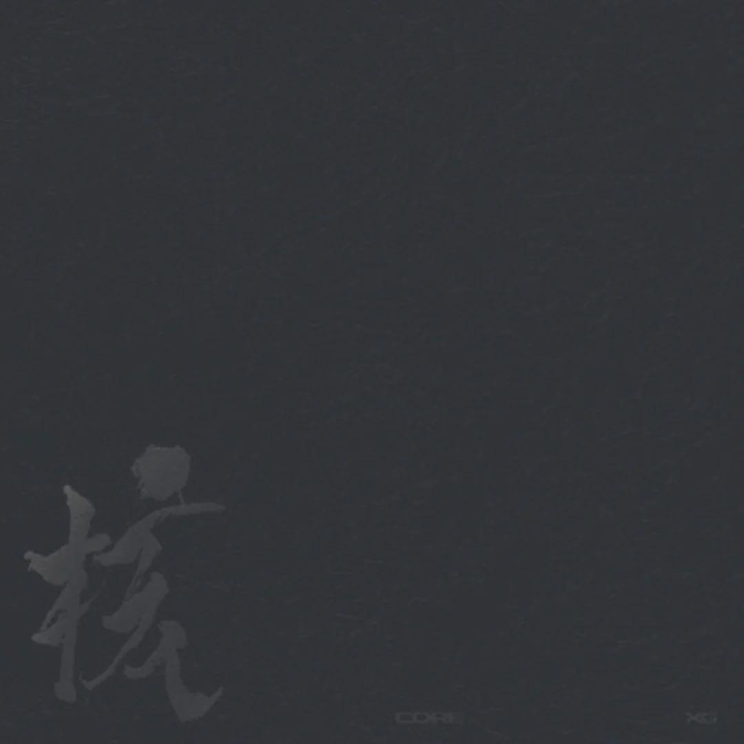 邦楽 XG THE CORE vinyl ver.