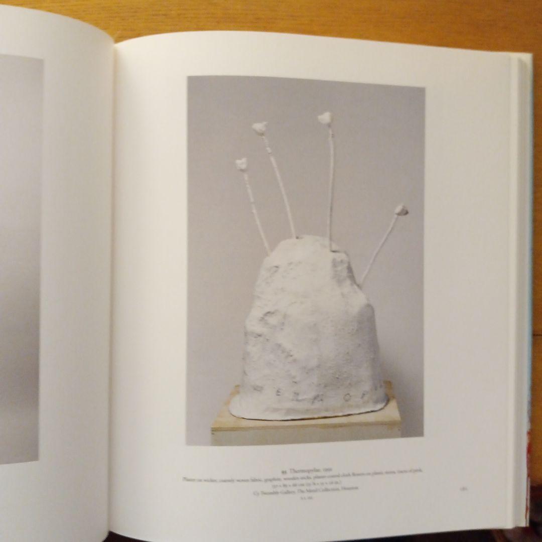 The Essential Cy Twombly　サイ・トゥオンブリー 画集