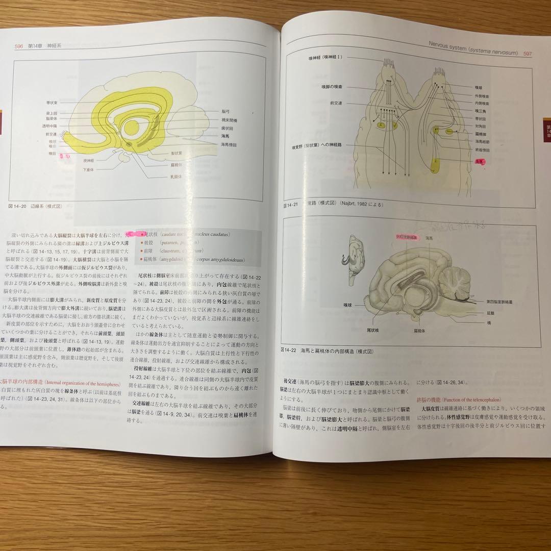 カラーアトラス獣医解剖学 【下巻】　増補改訂第2版