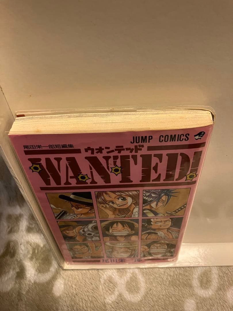 初版ONE PIECE一巻1997年発行　 初版　ウォンテッド小冊子付きセット