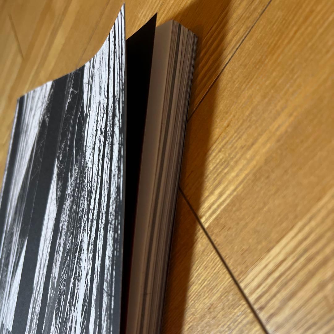 洋書 A MAGAZINE CURATED BY VERONIQUE BRANQUIN