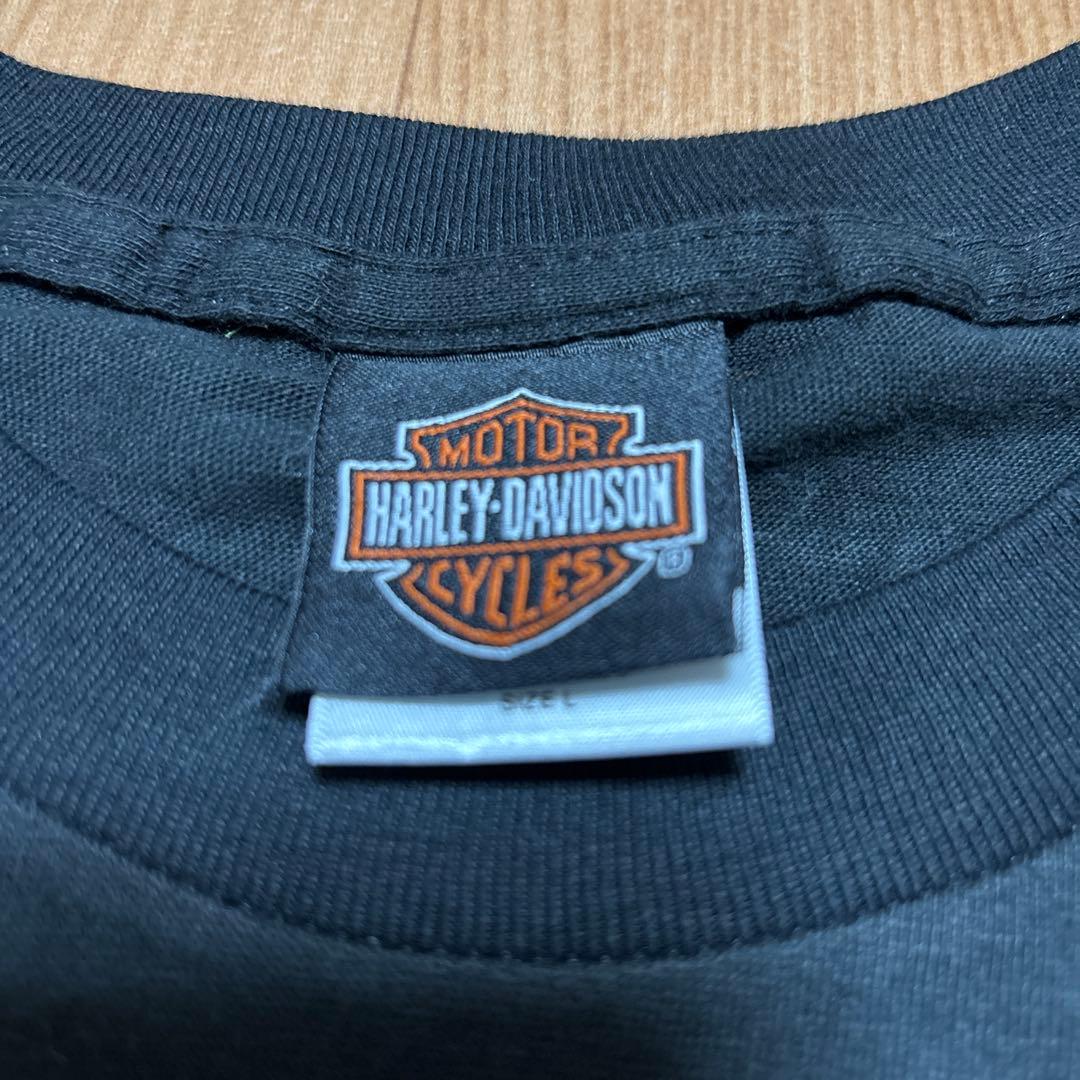 Jon Marchman's Braggs ハーレーダビッドソン