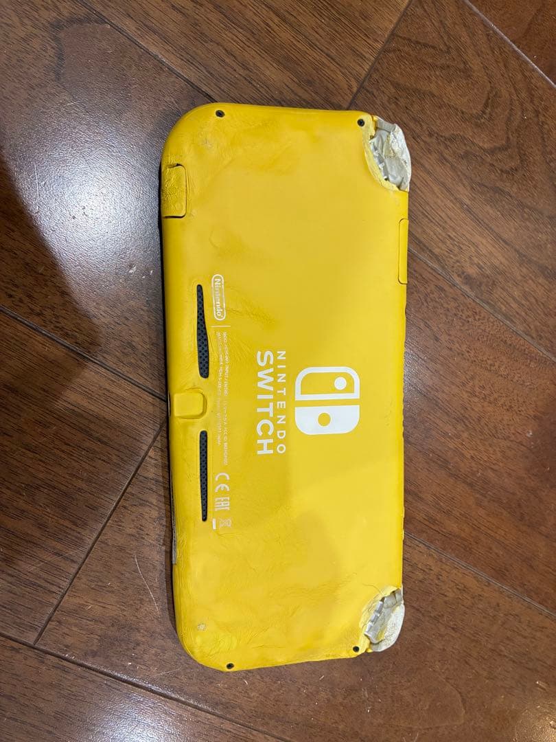 動く点Pの周りを走る兄弟  Nintendo Switch Lite