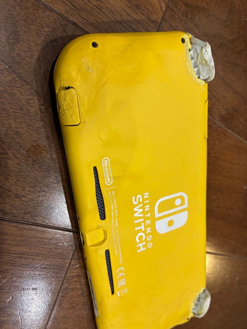 動く点Pの周りを走る兄弟  Nintendo Switch Lite