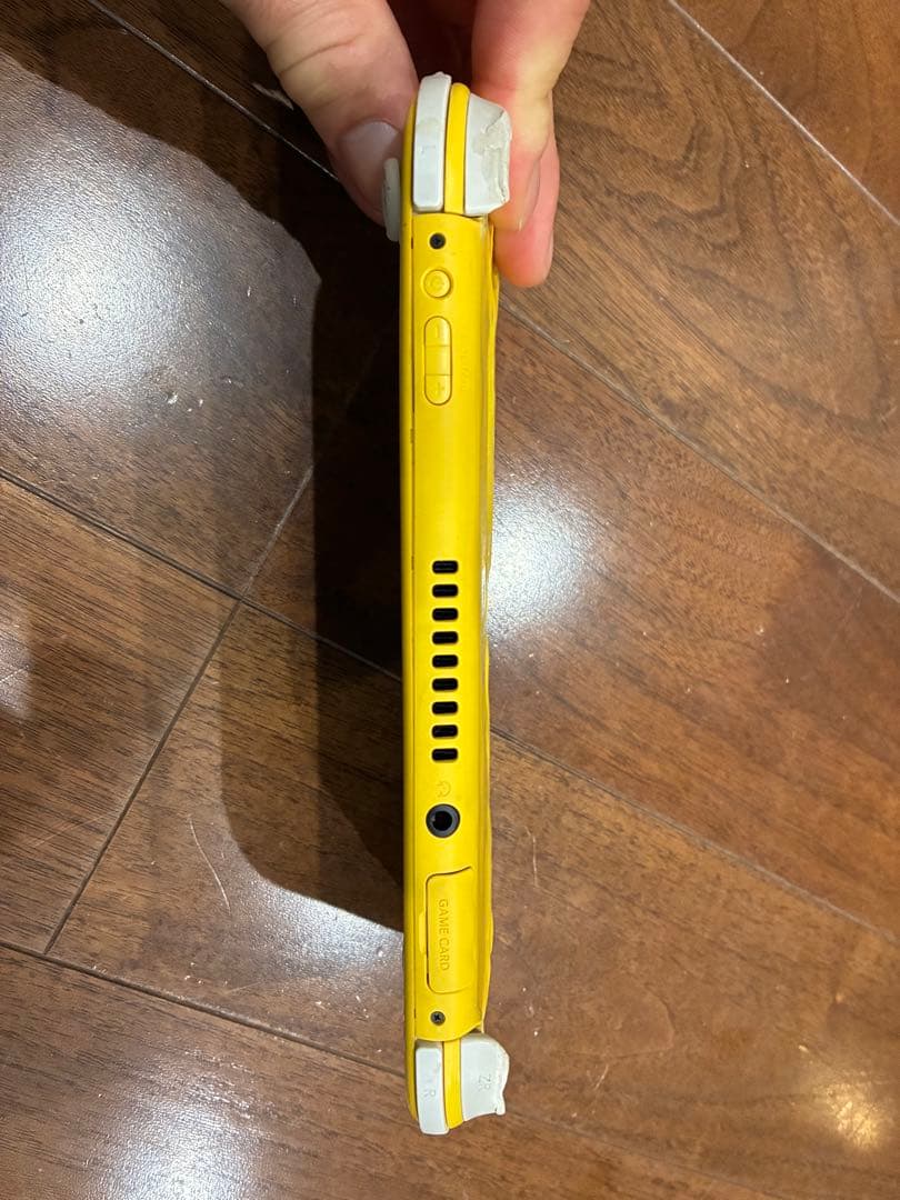 動く点Pの周りを走る兄弟  Nintendo Switch Lite