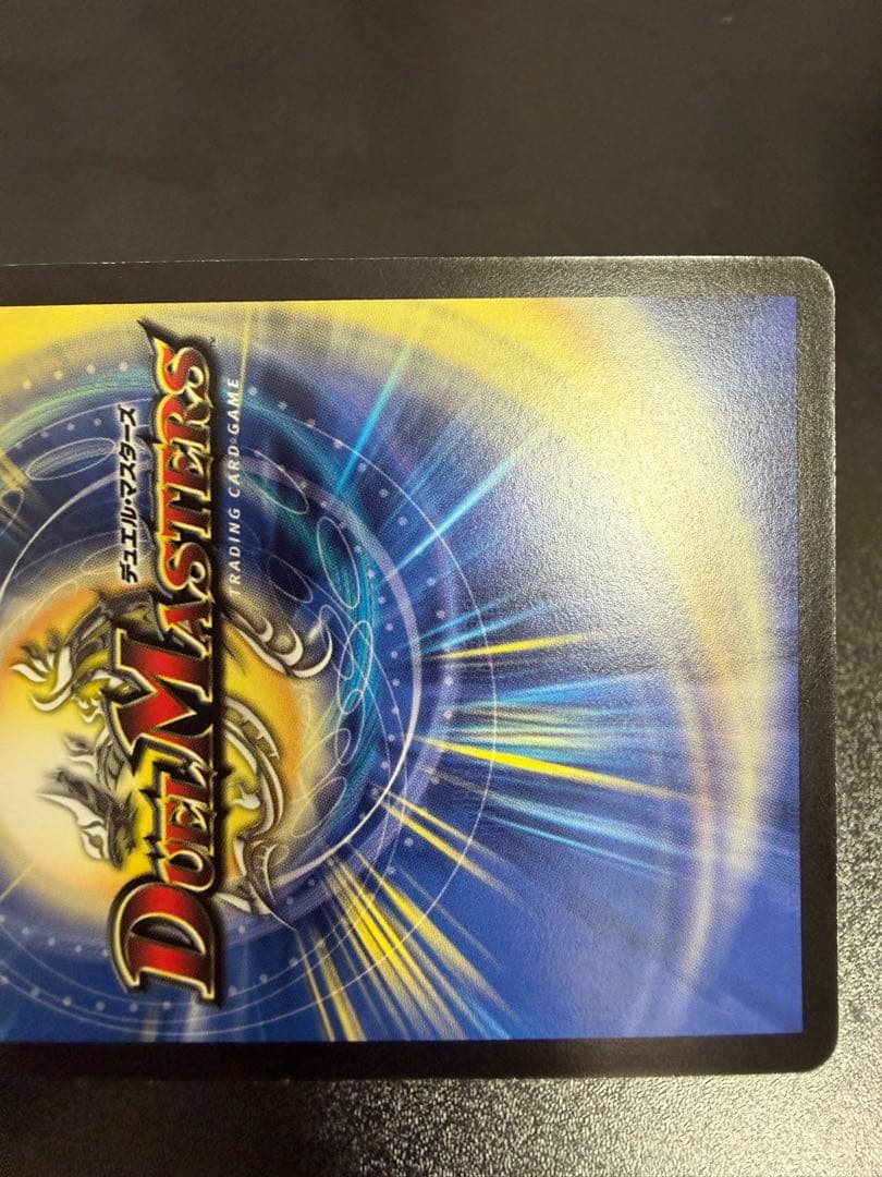 さ*読様 【24時間以内発送】聖鎧亜キングアルカディアス　シークレット