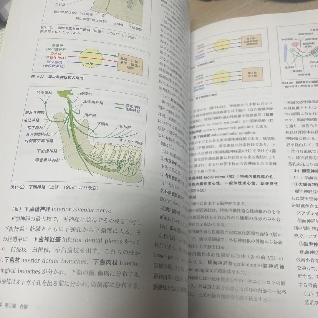 口腔解剖学 第2版