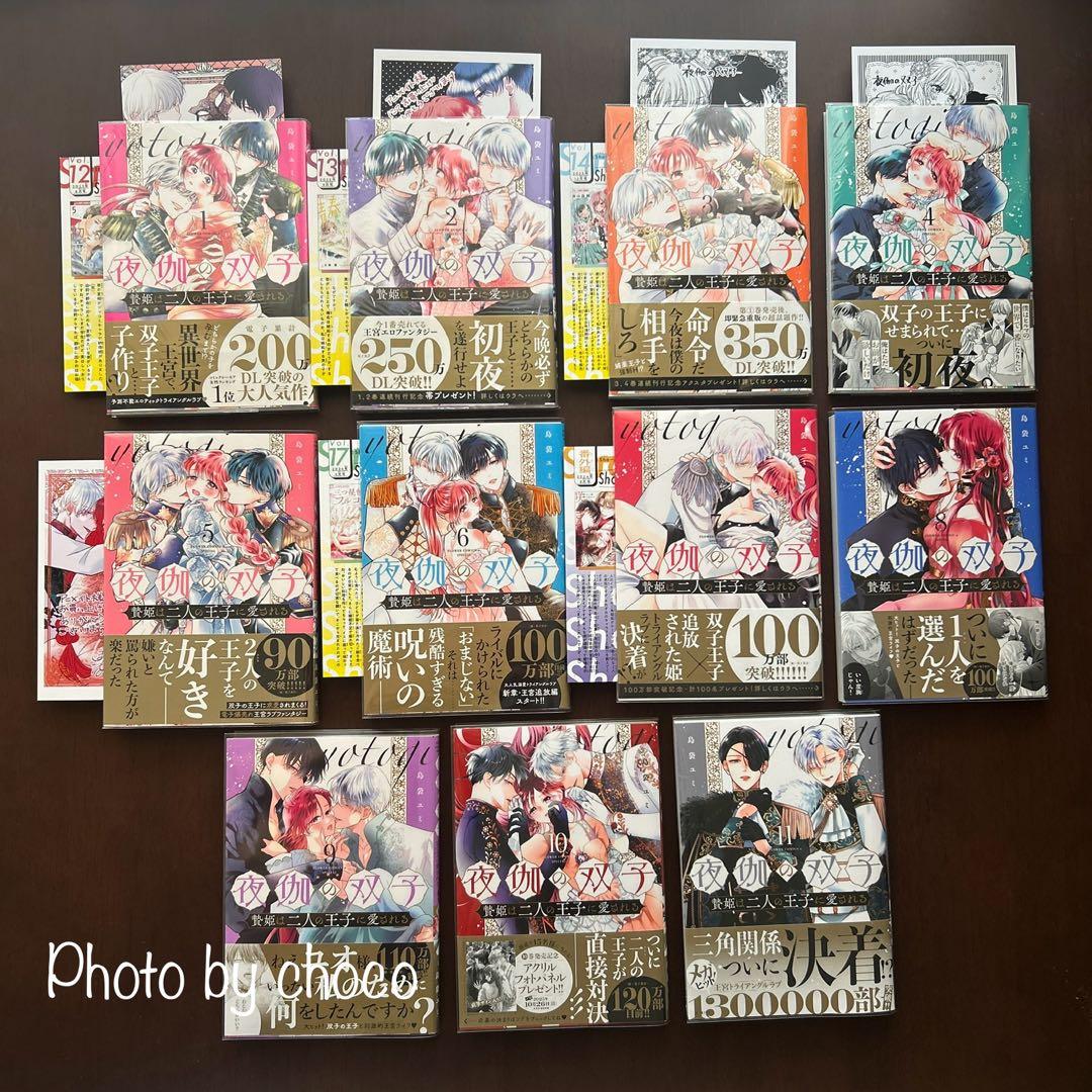 夜伽の双子　贄姫は二人の王子に愛される 1〜11巻（既刊全巻）