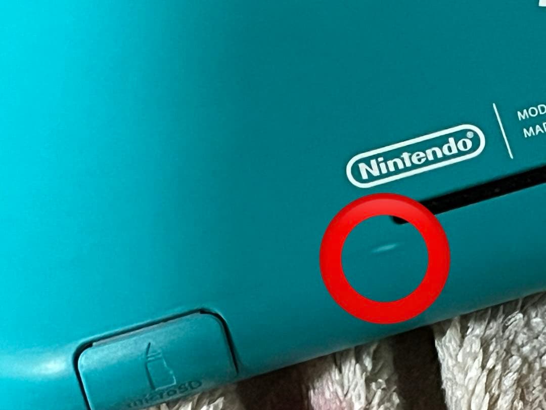 Switchライト　本体　ジャンク品