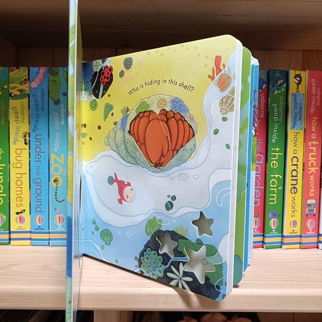 Peep Inside Usborne しかけ絵本　絵本　英語　幼児　英語教育