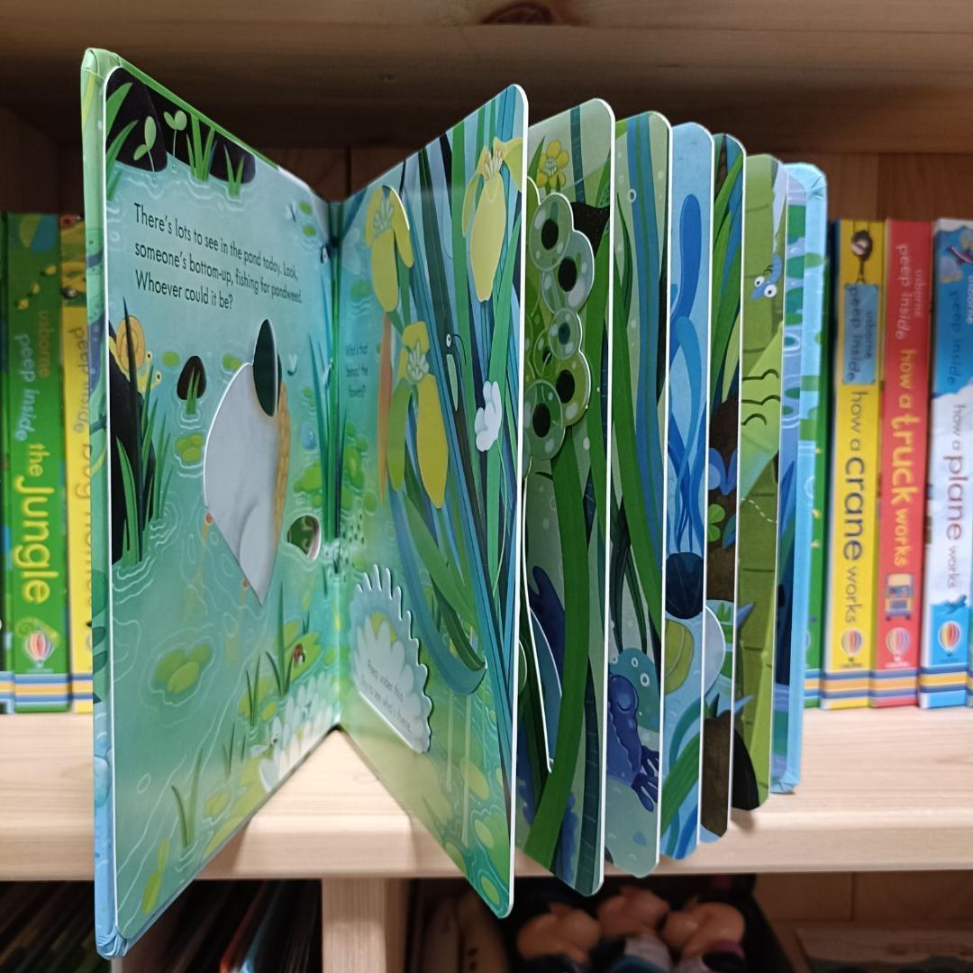 Peep Inside Usborne しかけ絵本　絵本　英語　幼児　英語教育