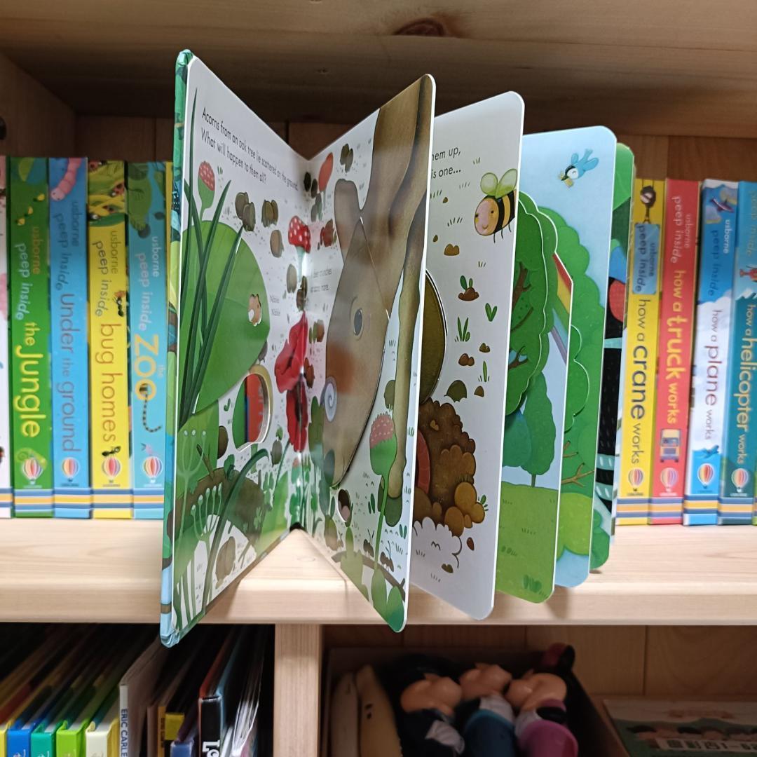 Peep Inside Usborne しかけ絵本　絵本　英語　幼児　英語教育