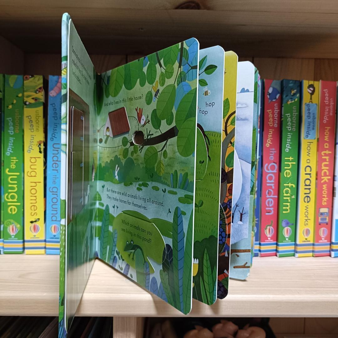 Peep Inside Usborne しかけ絵本　絵本　英語　幼児　英語教育