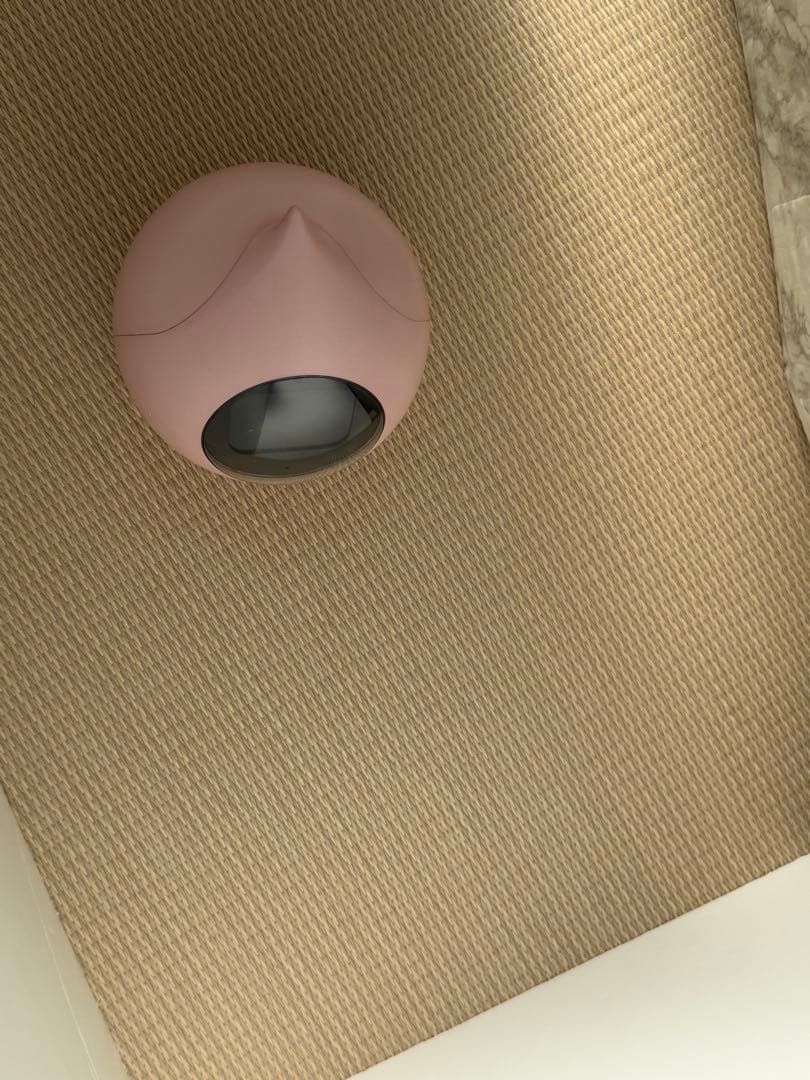 ロミイ本体