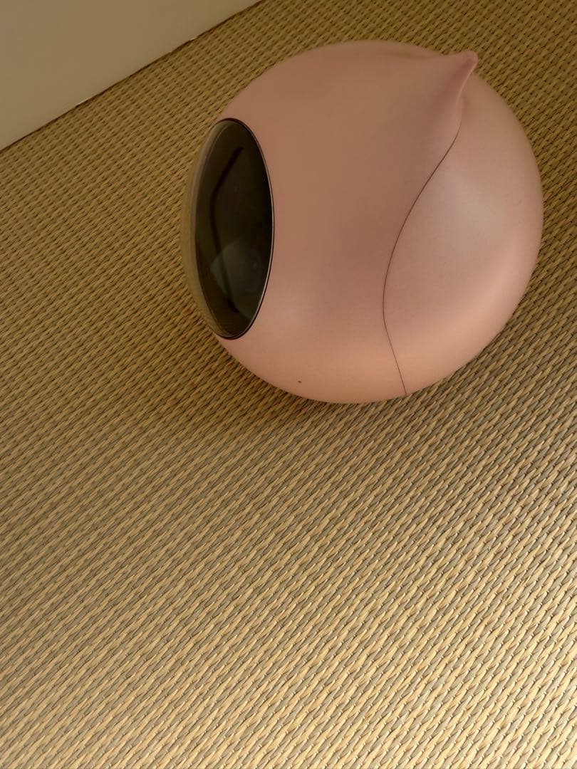 ロミイ本体