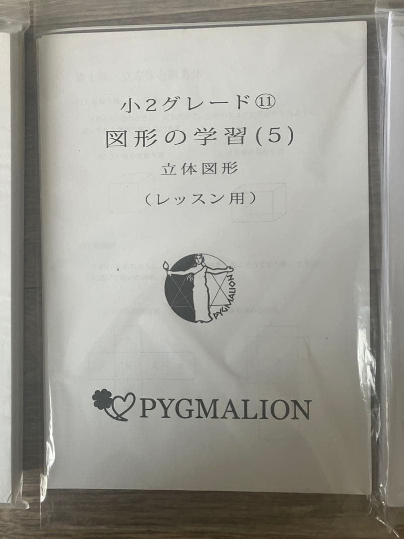 【美品・袋入】ピグマリオン グレード別10冊セット 図形の学習 分数 整数の性質