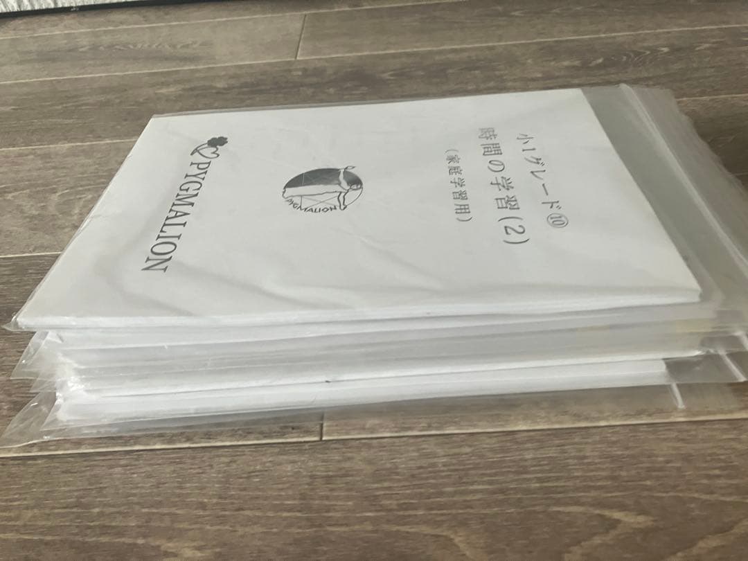 【美品・袋入】ピグマリオン グレード別10冊セット 図形の学習 分数 整数の性質