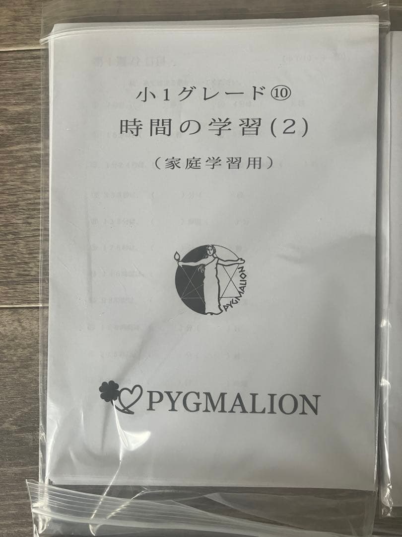 【美品・袋入】ピグマリオン グレード別10冊セット 図形の学習 分数 整数の性質