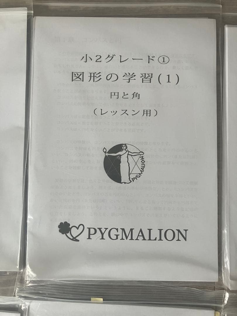 【美品・袋入】ピグマリオン グレード別10冊セット 図形の学習 分数 整数の性質