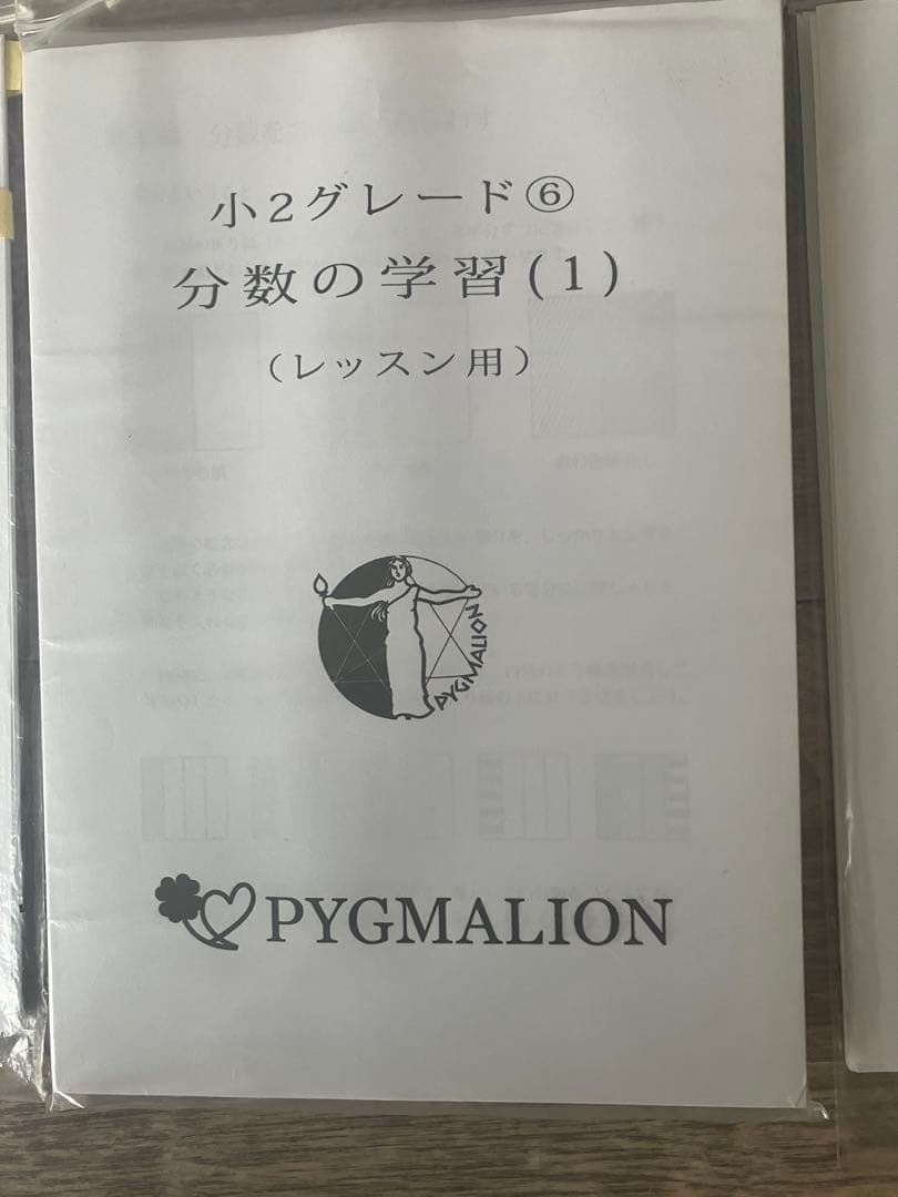 【美品・袋入】ピグマリオン グレード別10冊セット 図形の学習 分数 整数の性質