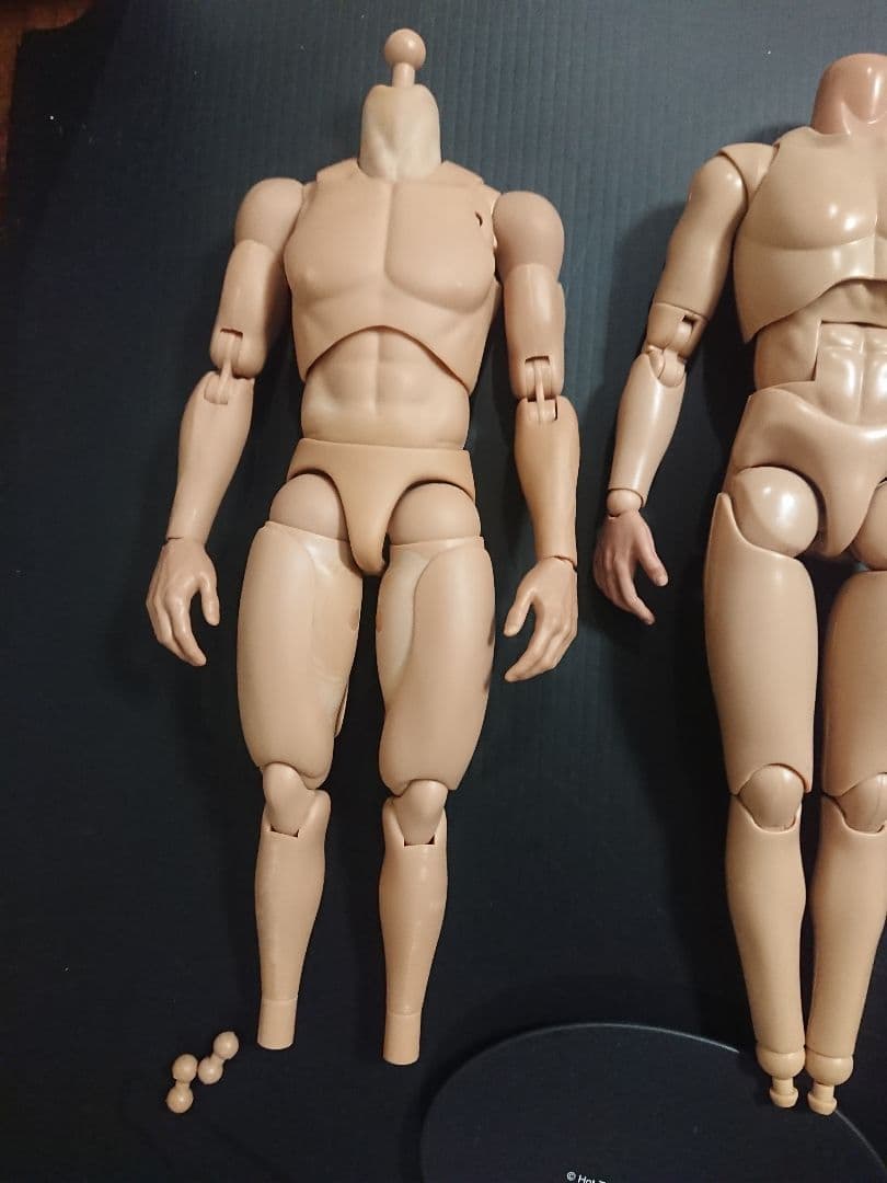 早い者勝ち！1/6フィギュア素体2体 HOTTOYSスタンド付き