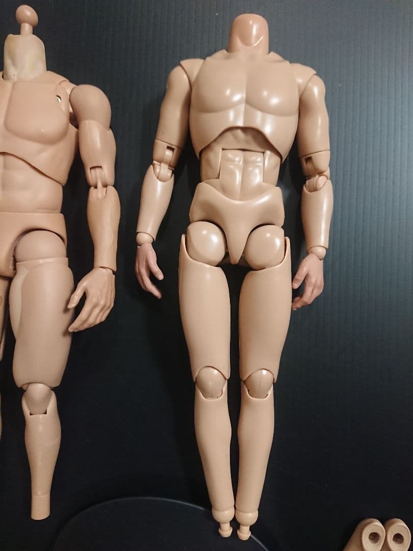 早い者勝ち！1/6フィギュア素体2体 HOTTOYSスタンド付き