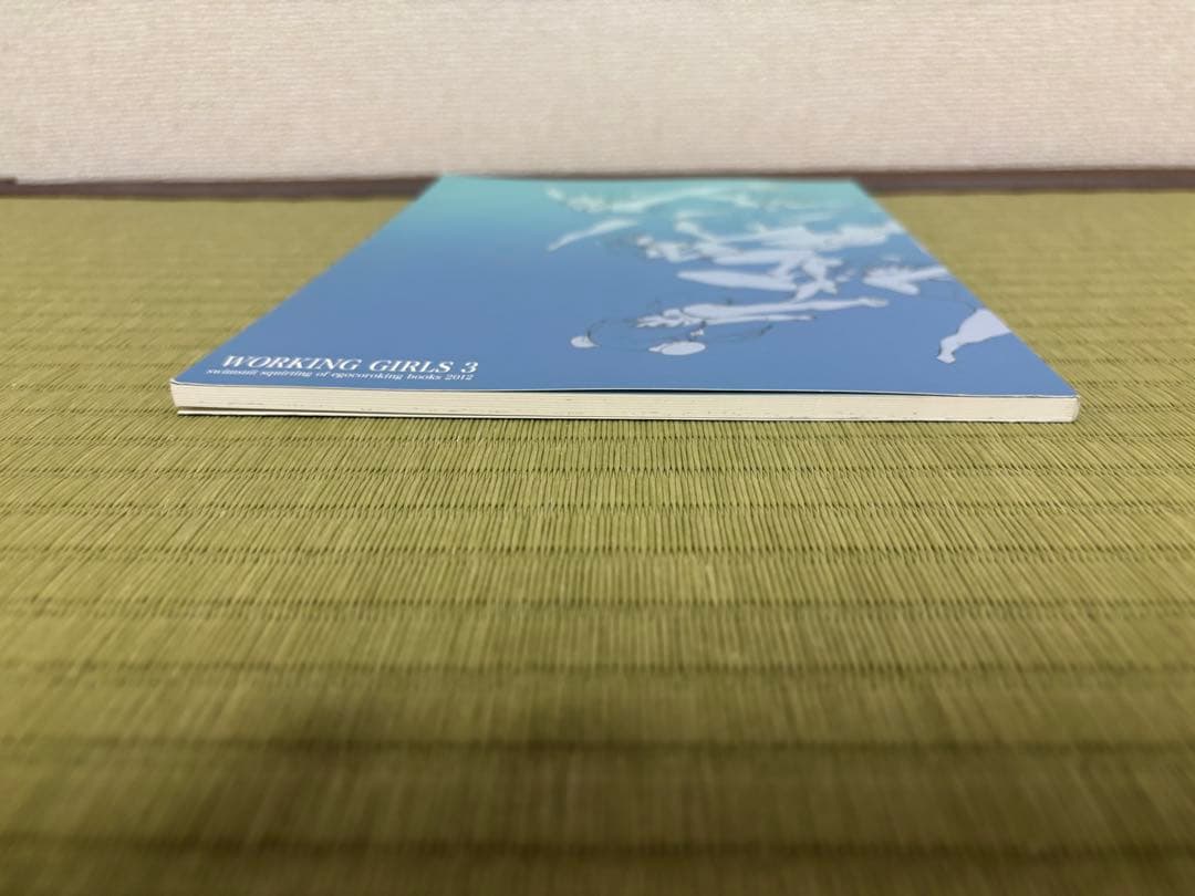 アート・デザイン・音楽 WORKING GIRLS 3 (EGOCOROKING BOOKS 2012)