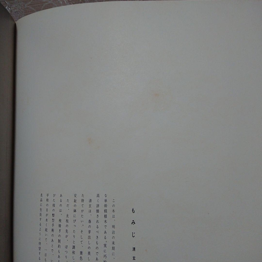 日本盆栽大観