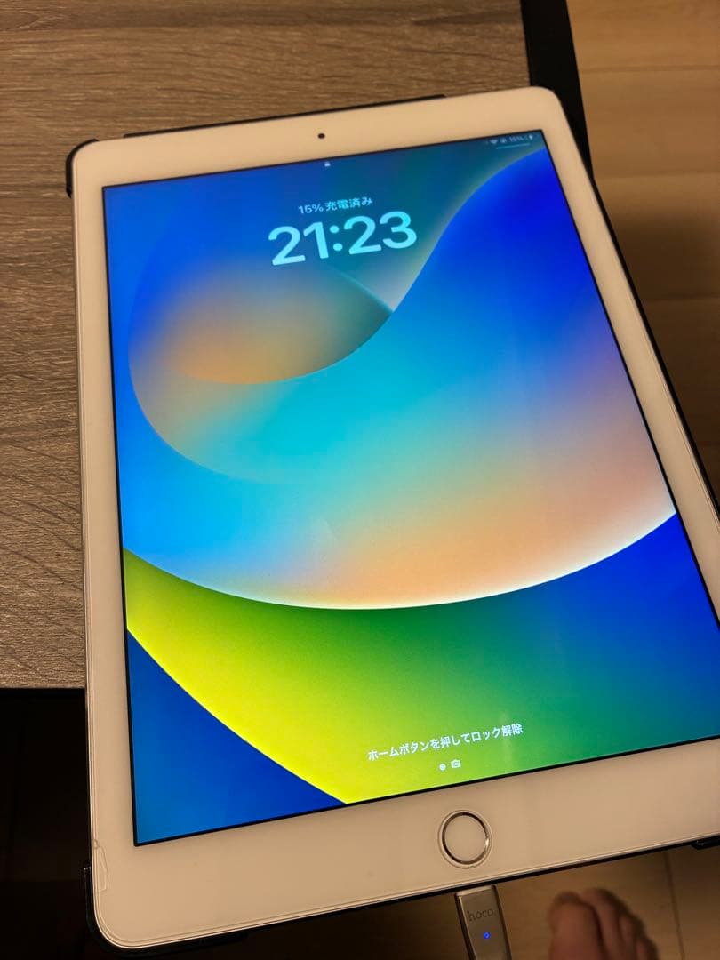 レ*イ様 Apple iPad Pro (第1世代) 256GB ホワイト　キー