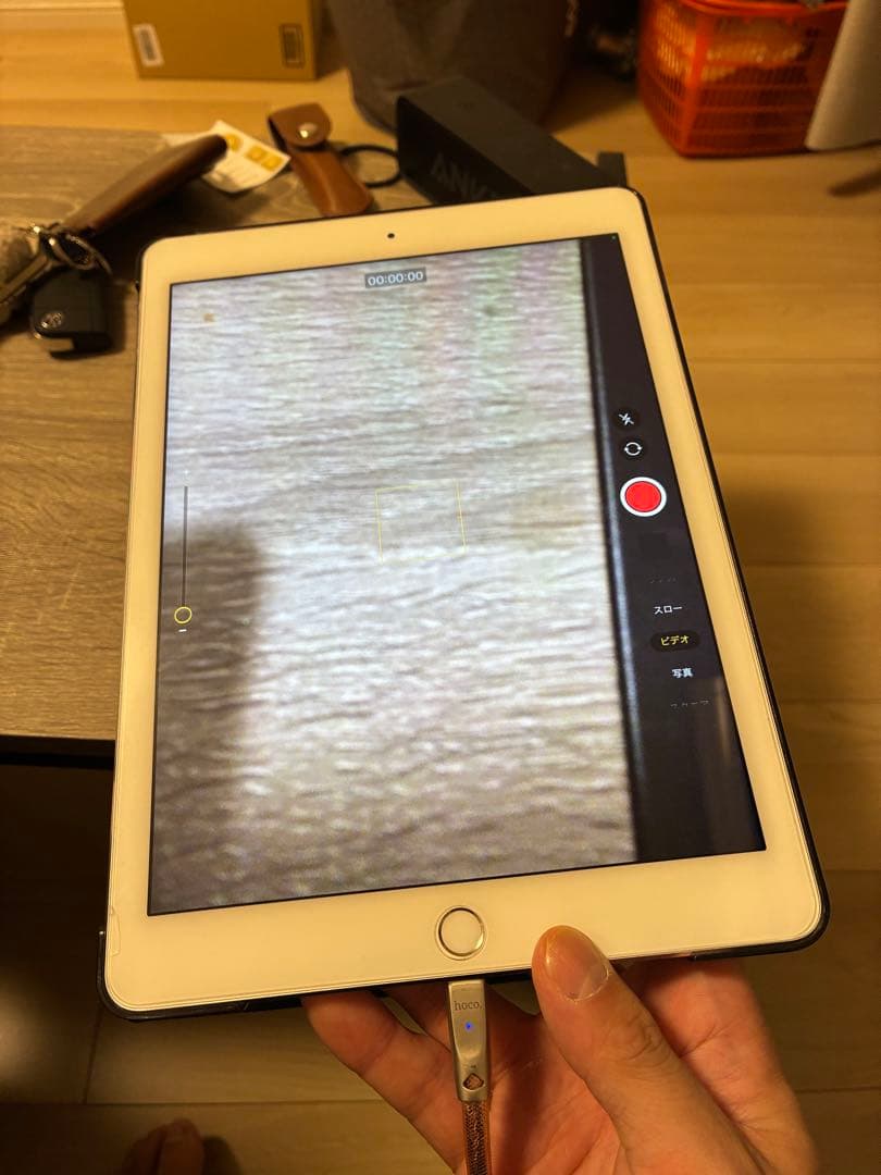 レ*イ様 Apple iPad Pro (第1世代) 256GB ホワイト　キー