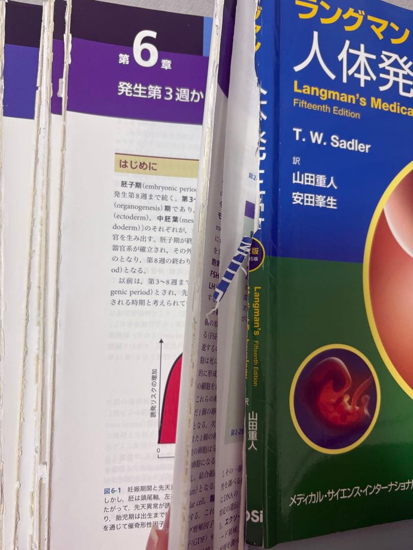 ラングマン 人体発生学 第12版 教科書