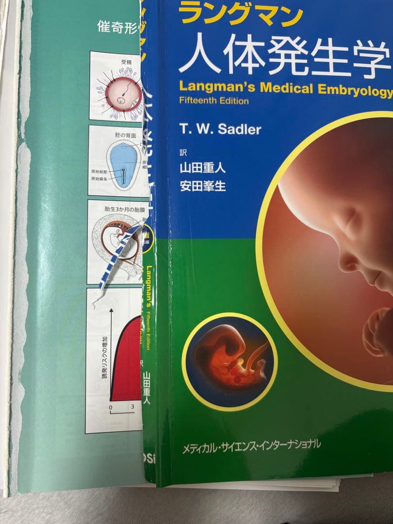 ラングマン 人体発生学 第12版 教科書