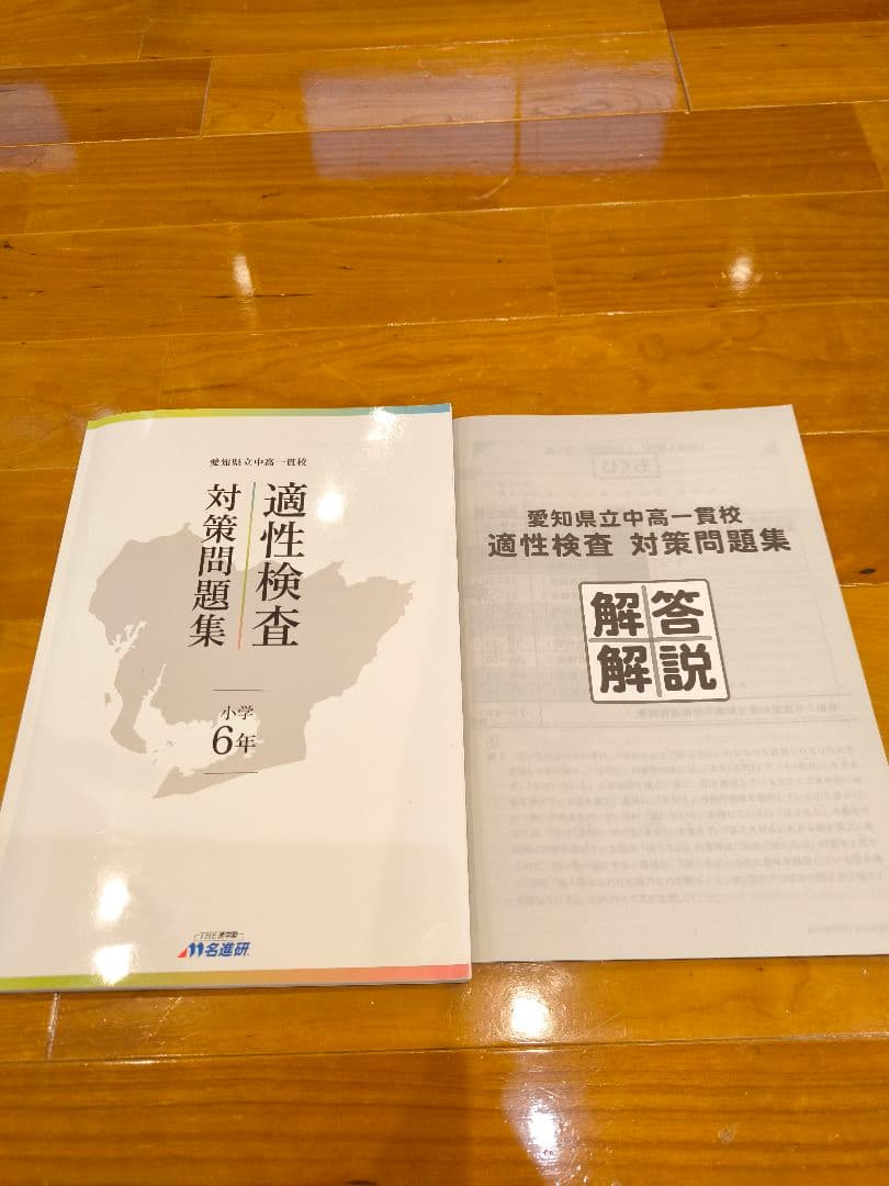 【名進研　完全制覇シリーズ適性検査教材　小6】