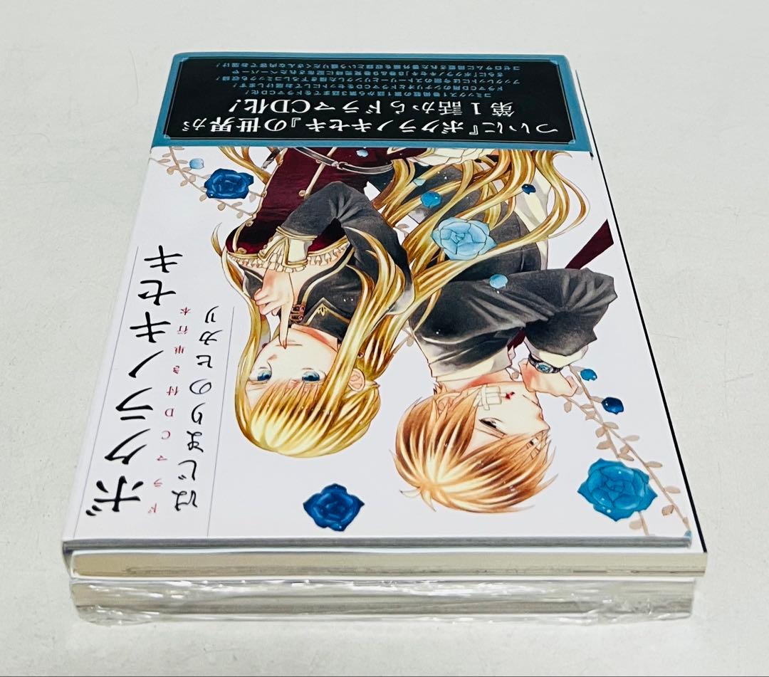 【付属CD未開封】ボクラノキセキ はじまりのヒカリ ぼくらの前世考察 2冊セット