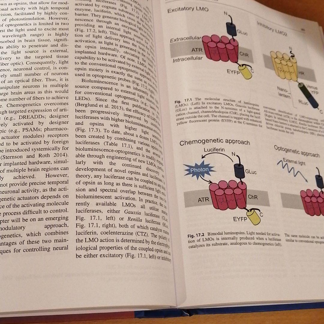 語学・辞書・学習参考書 Optogenetics (springer)