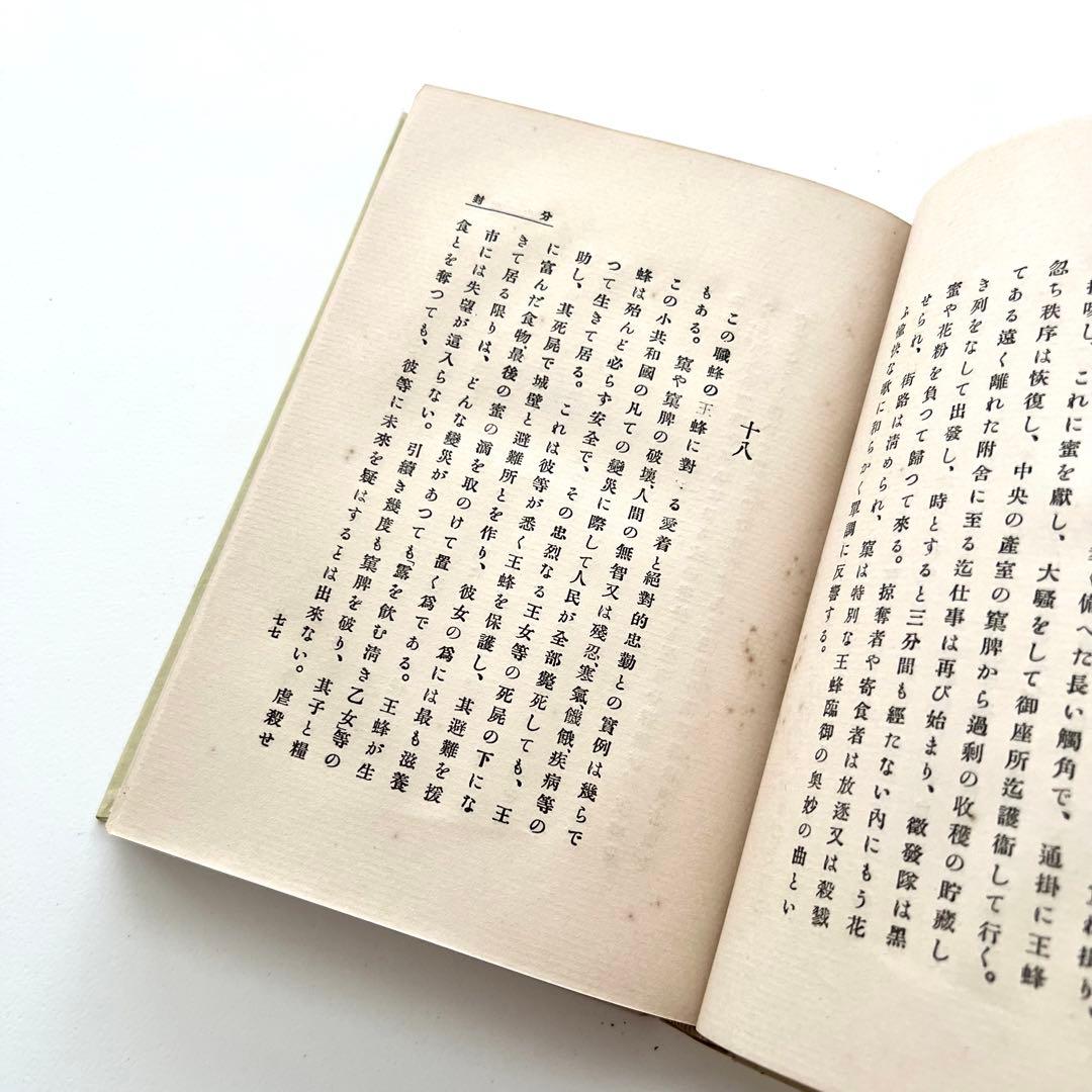 蜜蜂の生活　初版