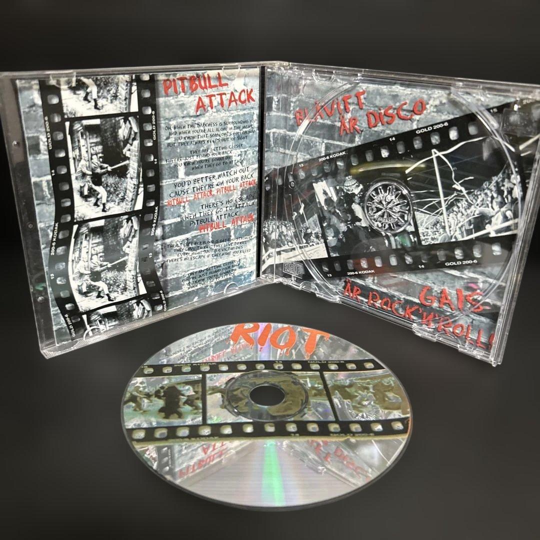 洋楽 RIOT FUCK THE WORLD